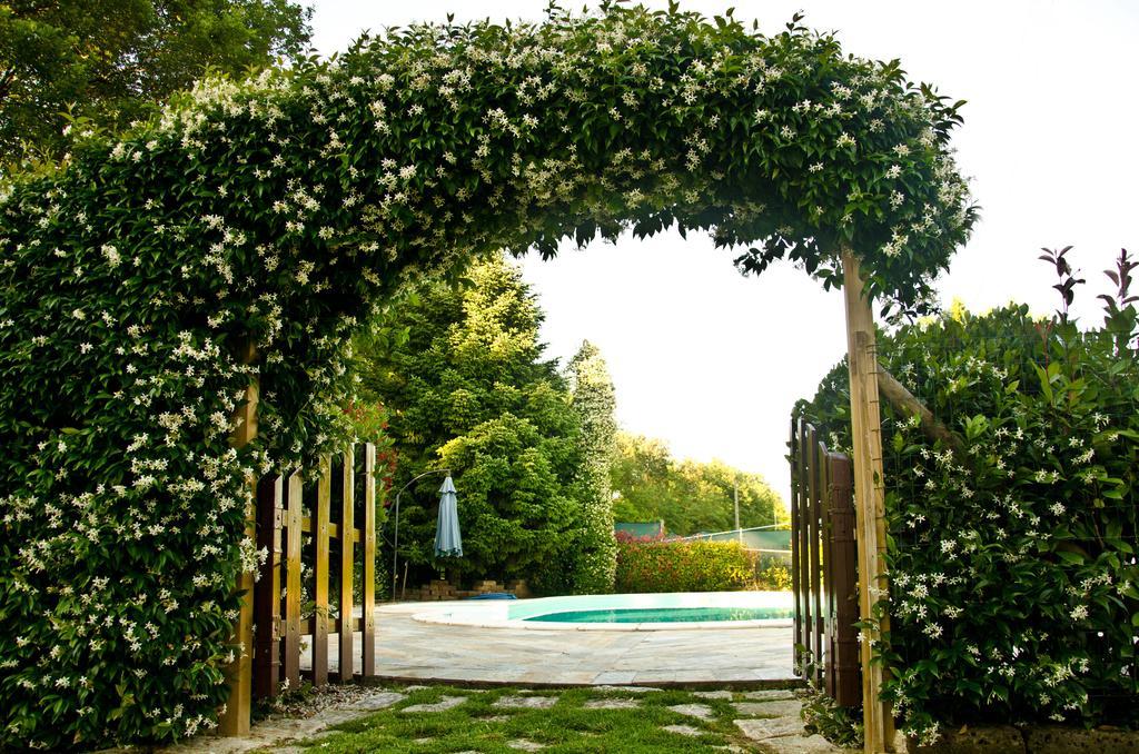 La Coccinella Bed & Breakfast Iesi Exterior foto